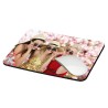 Mousepad Mousepads